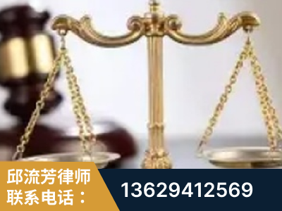 南阳-委托诉讼代理人出庭